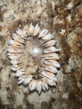 Hawaiian Shell Statement Bracelet